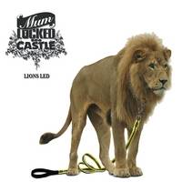 Mum Locked In Castle : Lions Led